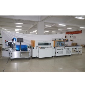 customized Automatic Fruits and Vegetable weight labeling machine